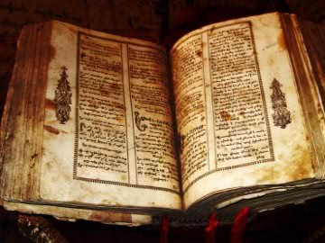 Codex Wiki Codex Wiki